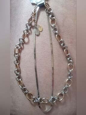 2 Necklaces- 1 Claire's Chunky Rolo 2-Toned 18.5", 1 Time & Tru Snake Chain 16"